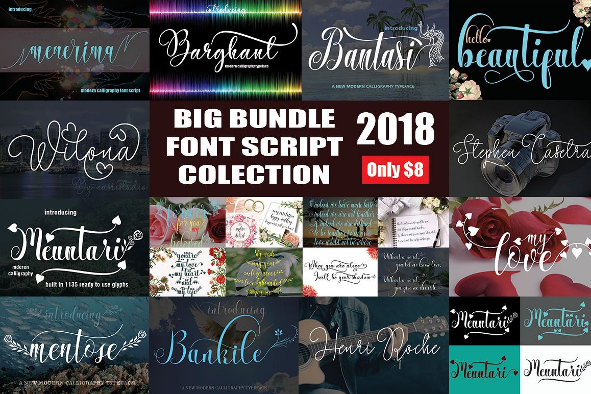 BIG BUNDLE FONT SCRIPT COLECTION example image