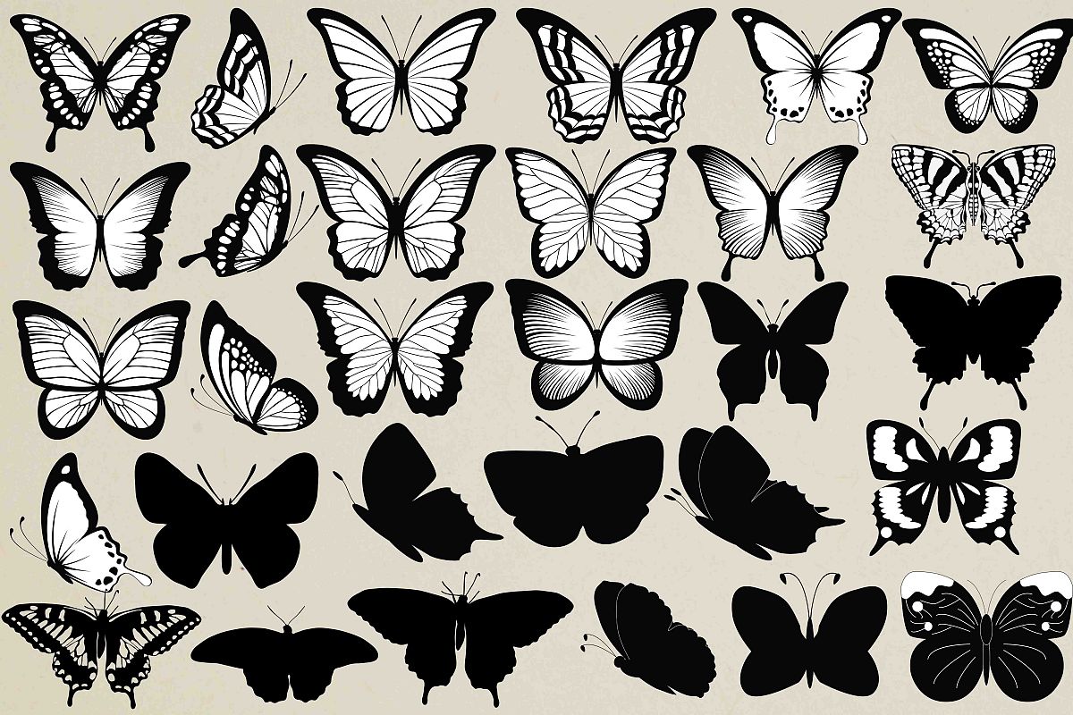 Butterfly Silhouette example image