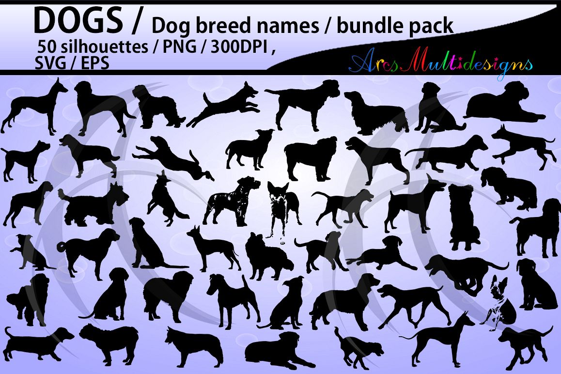 dog silhouette svg / 50 dog / dog breed names with pictures PNG / SVG / EPS / puppy/ Hq / vector / pets silhouette / animal silhouette example image