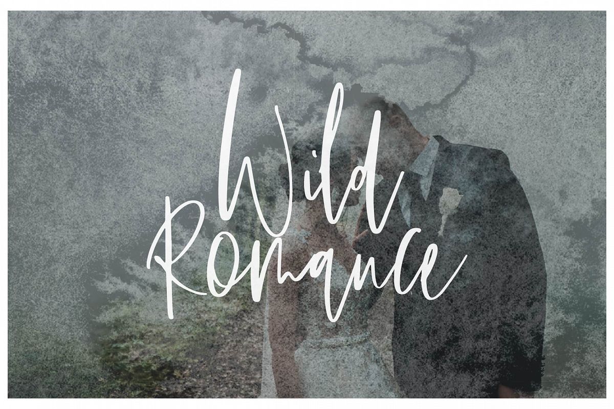 Wild Romance Script Font example image