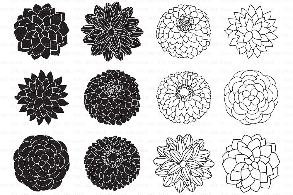 Download Dahlia Flowers SVG Files - Peony Flower | Design Bundles