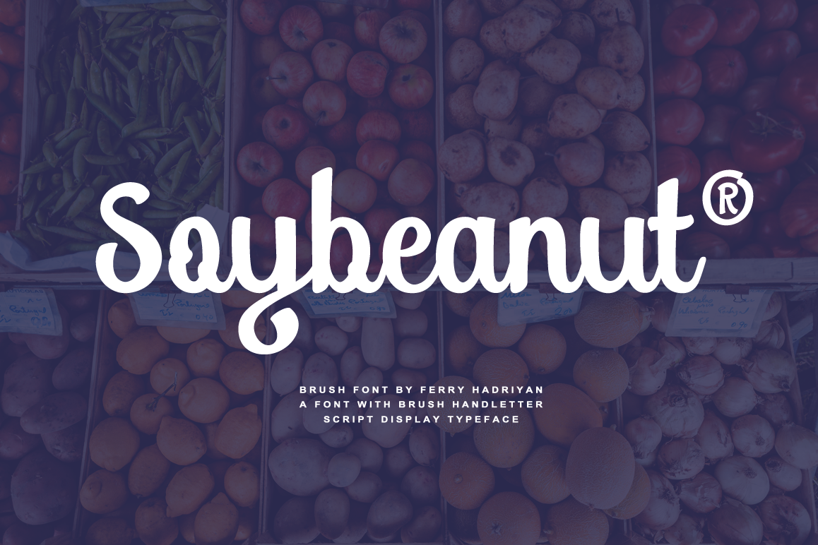 Soybeanut - Brush Script Font example image