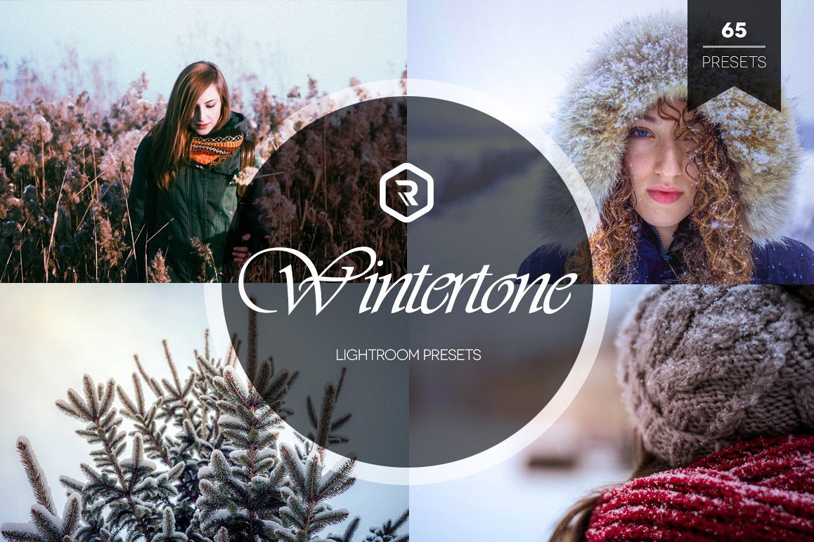 Wintertone Lightroom Presets example image