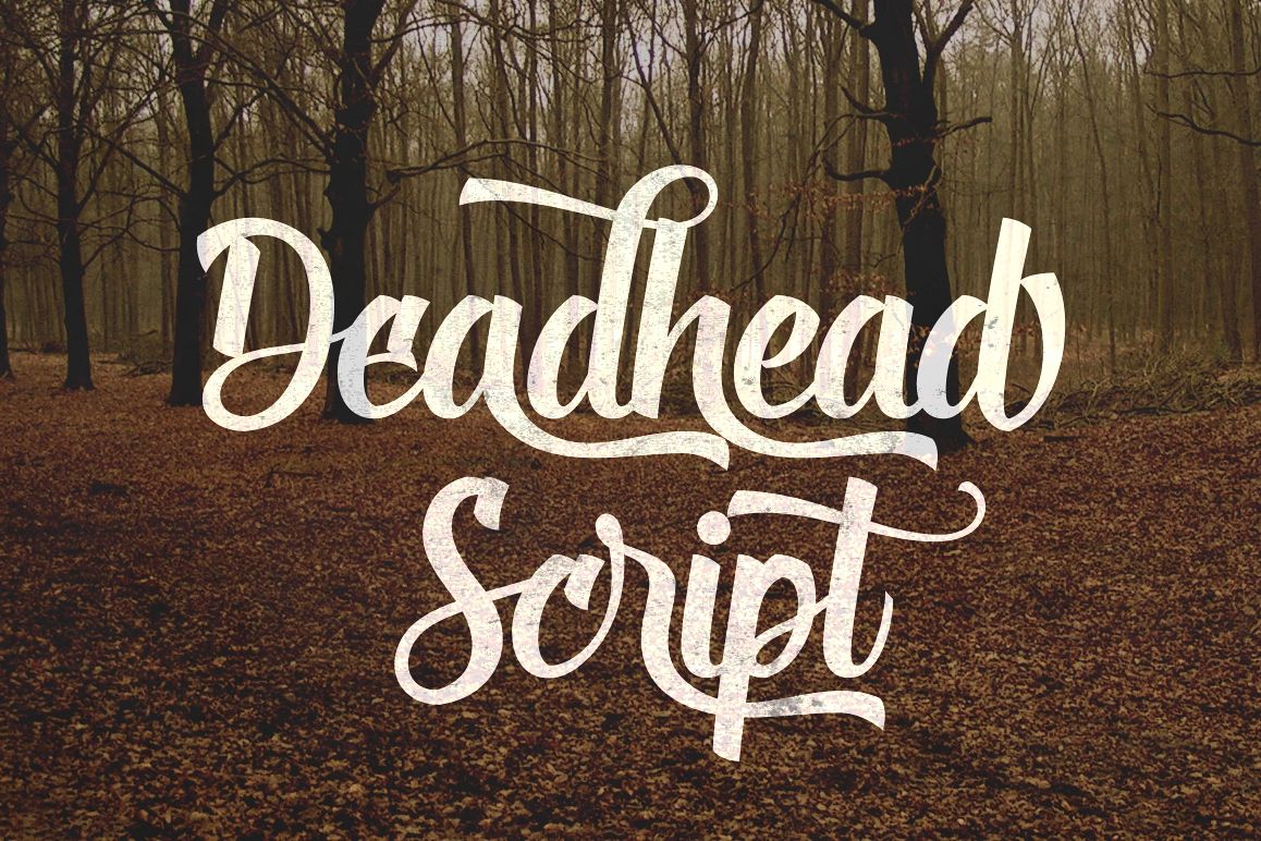 Deadhead Script example image