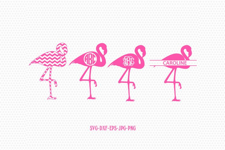 Download Flamingo monogram frame-Flamingo svg, p | Design Bundles