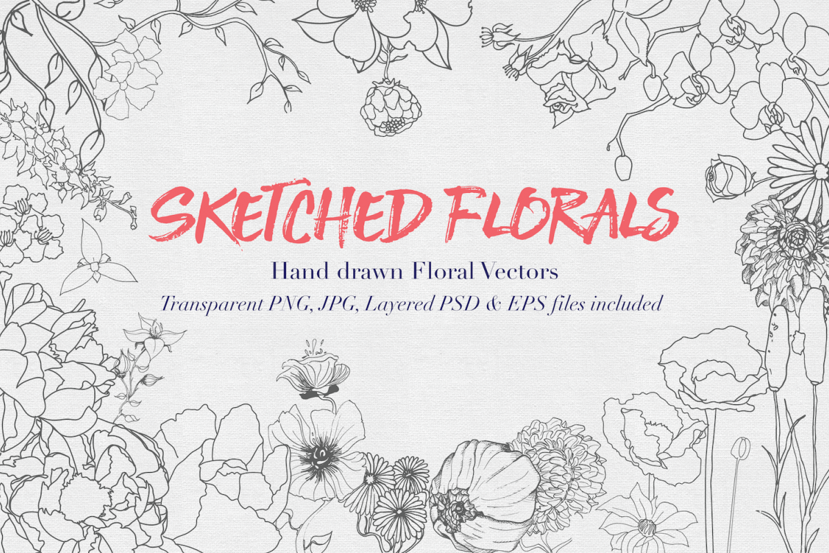 Hand drawn Sketched Flower Vectors example image