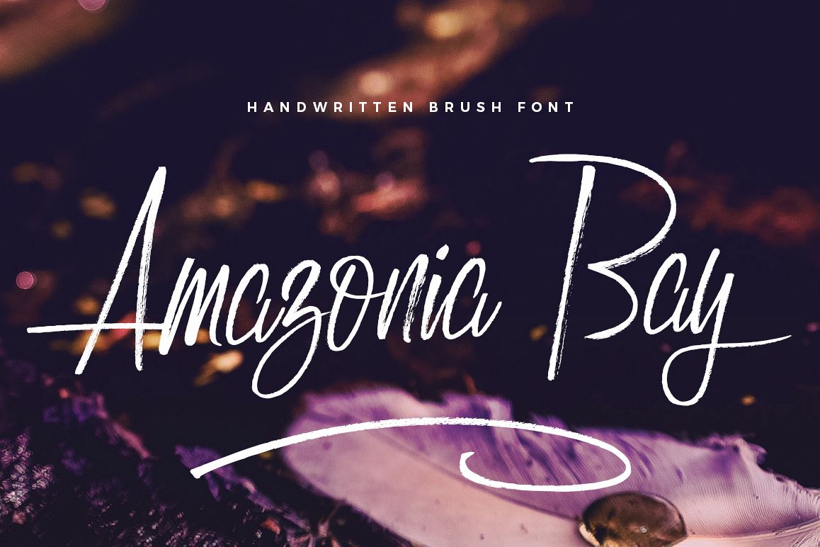 Amazonia Bay example image