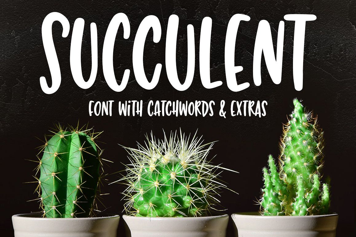 Succulent: a hand-lettered font example image