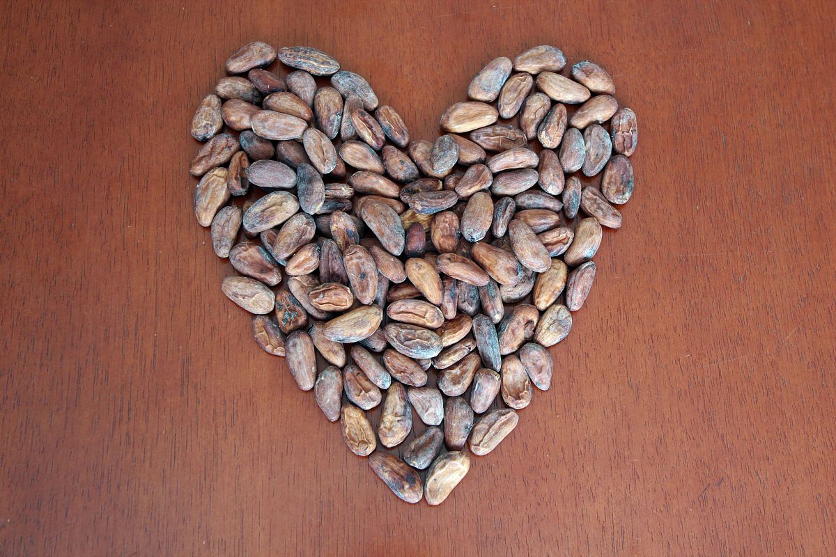 Cacao Beans in Heart Format example image