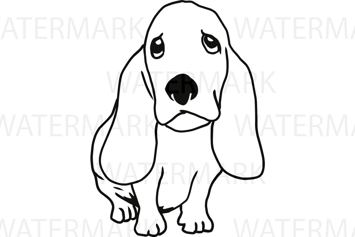 Cute Dogs C Basset Hound Outline - SVG/ | Design Bundles