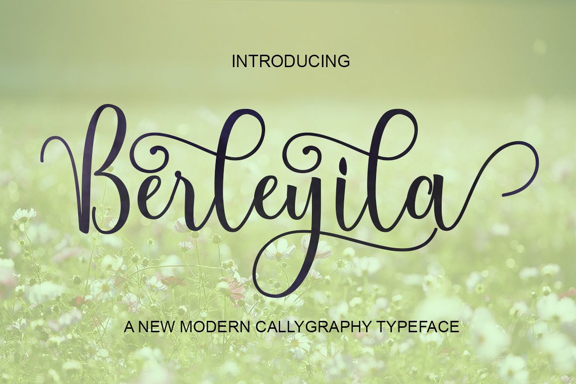 Berleyila example image