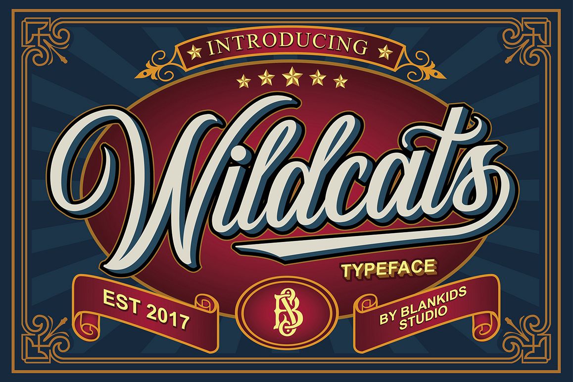 Wildcats Typeface (40% off) example image