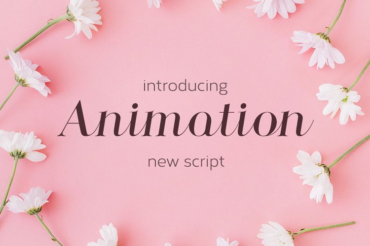 Animation example image