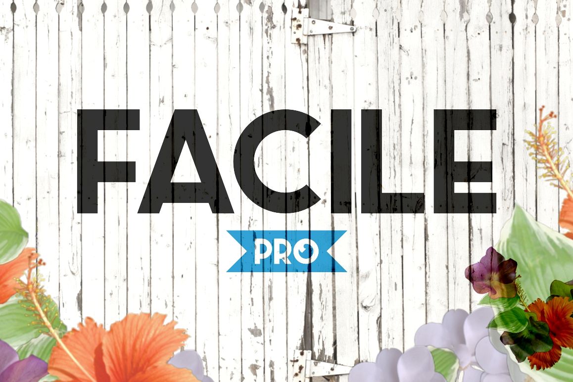 Facile Pro example image