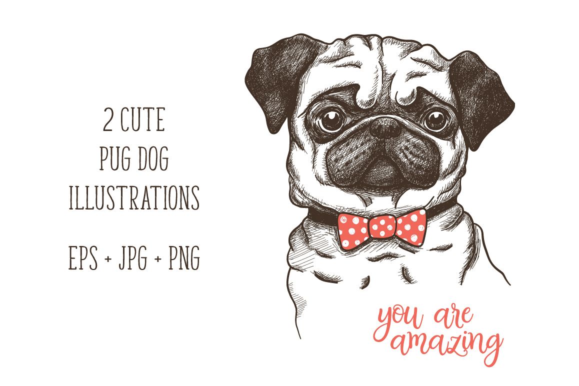 hand drawn funny fashionable pug example image