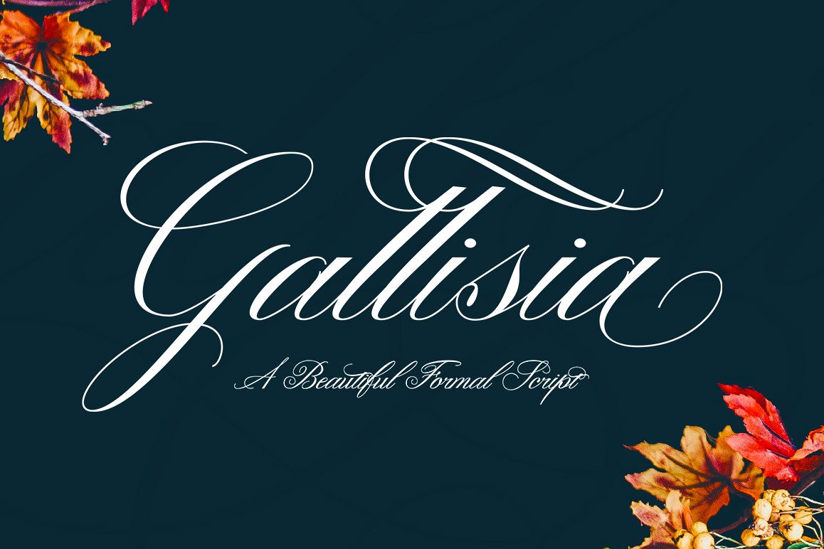 Gallisia Script example image