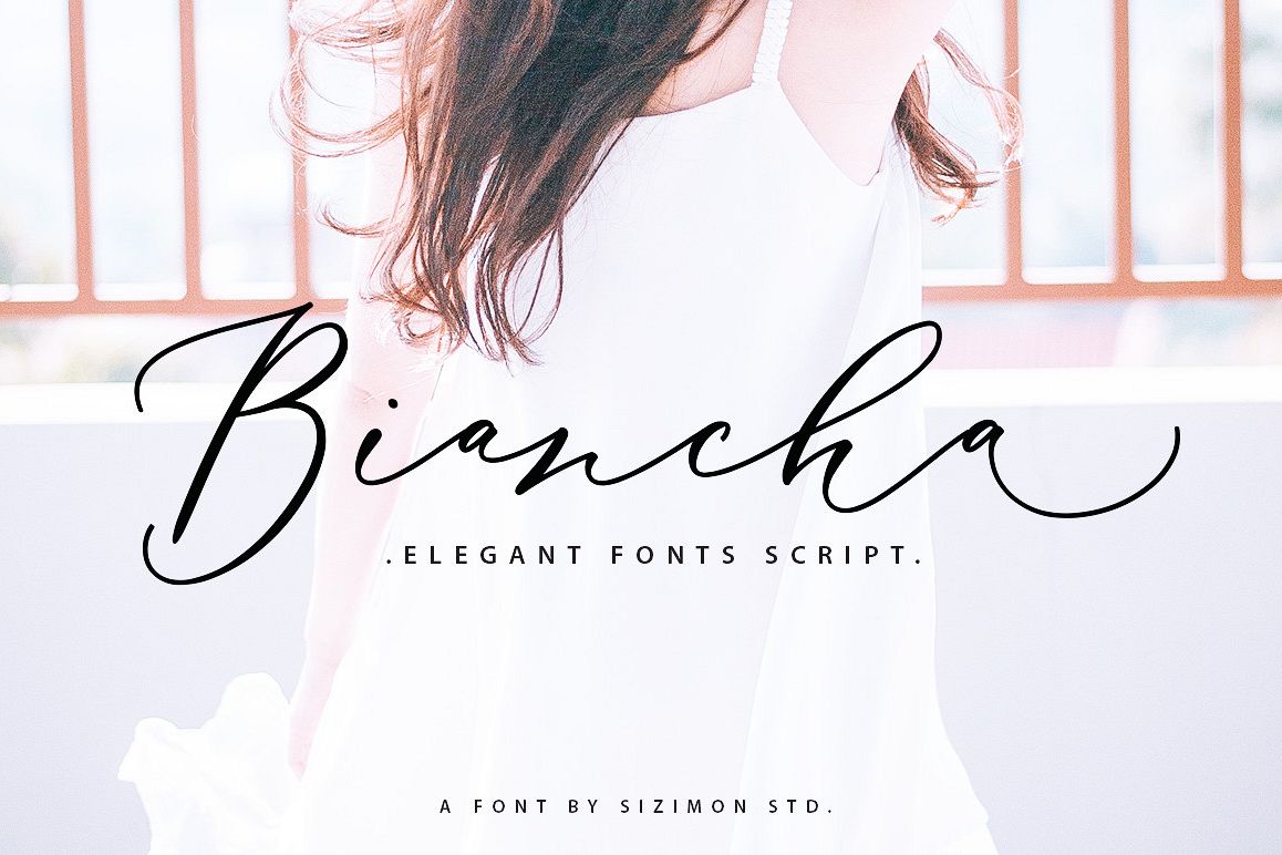 Biancha Script 40% OFF example image