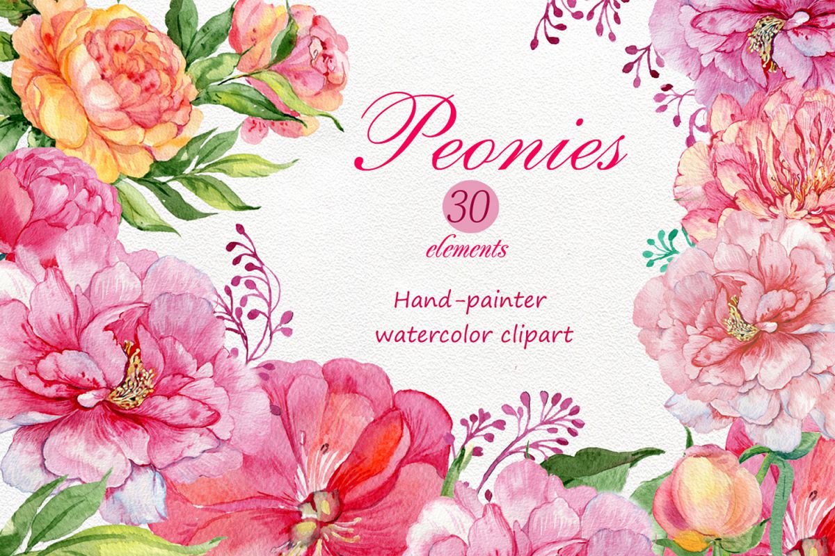 watercolor clipart /flowers peonies by | Design Bundles